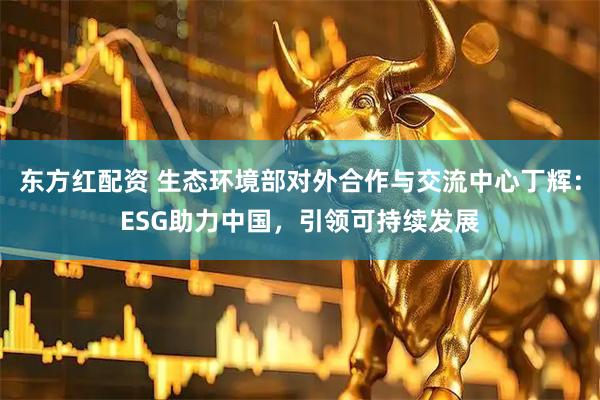 东方红配资 生态环境部对外合作与交流中心丁辉：ESG助力中国，引领可持续发展