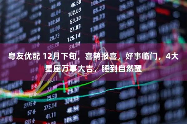 粤友优配 12月下旬，喜鹊报喜，好事临门，4大星座万事大吉，睡到自然醒